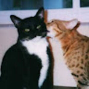 Meet your Posher, Kristine